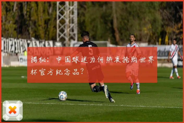 揭秘:中国球迷为何热衷抢购世界杯官方纪念品?
